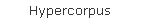 Hypercorpus